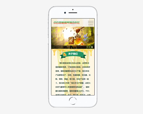 中边甜美蜂养殖合作社