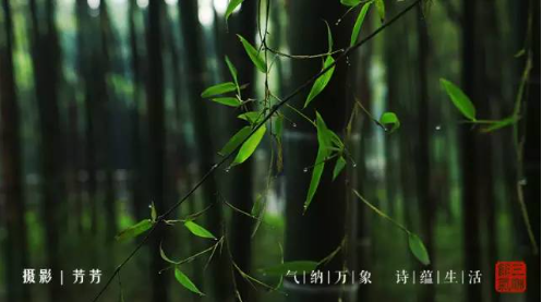 yl23455永利(集团)股份有限公司官网